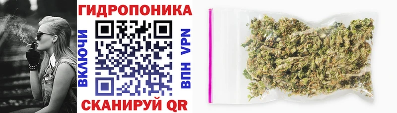 Наркотические вещества Приморск Конопля  НБОМе  Alpha-PVP  Меф  Cocaine  Галлюциногенные грибы 