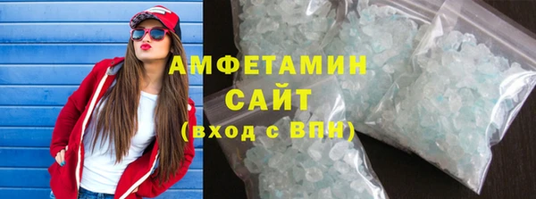 прущие грибы Аркадак