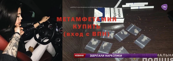 прущие грибы Аркадак