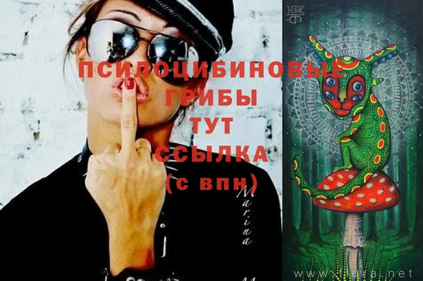 герыч Арсеньев