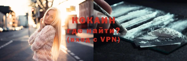 прущие грибы Аркадак
