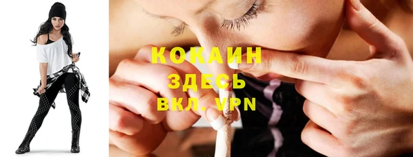 прущие грибы Аркадак