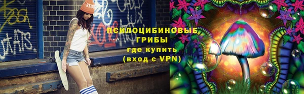 герыч Арсеньев