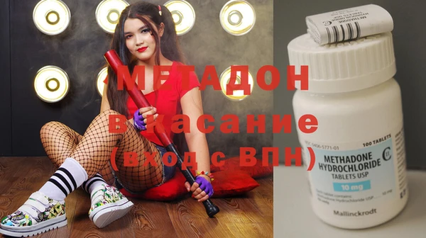 прущие грибы Аркадак