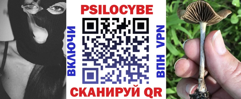 Галлюциногенные грибы Psilocybe  Приморск 